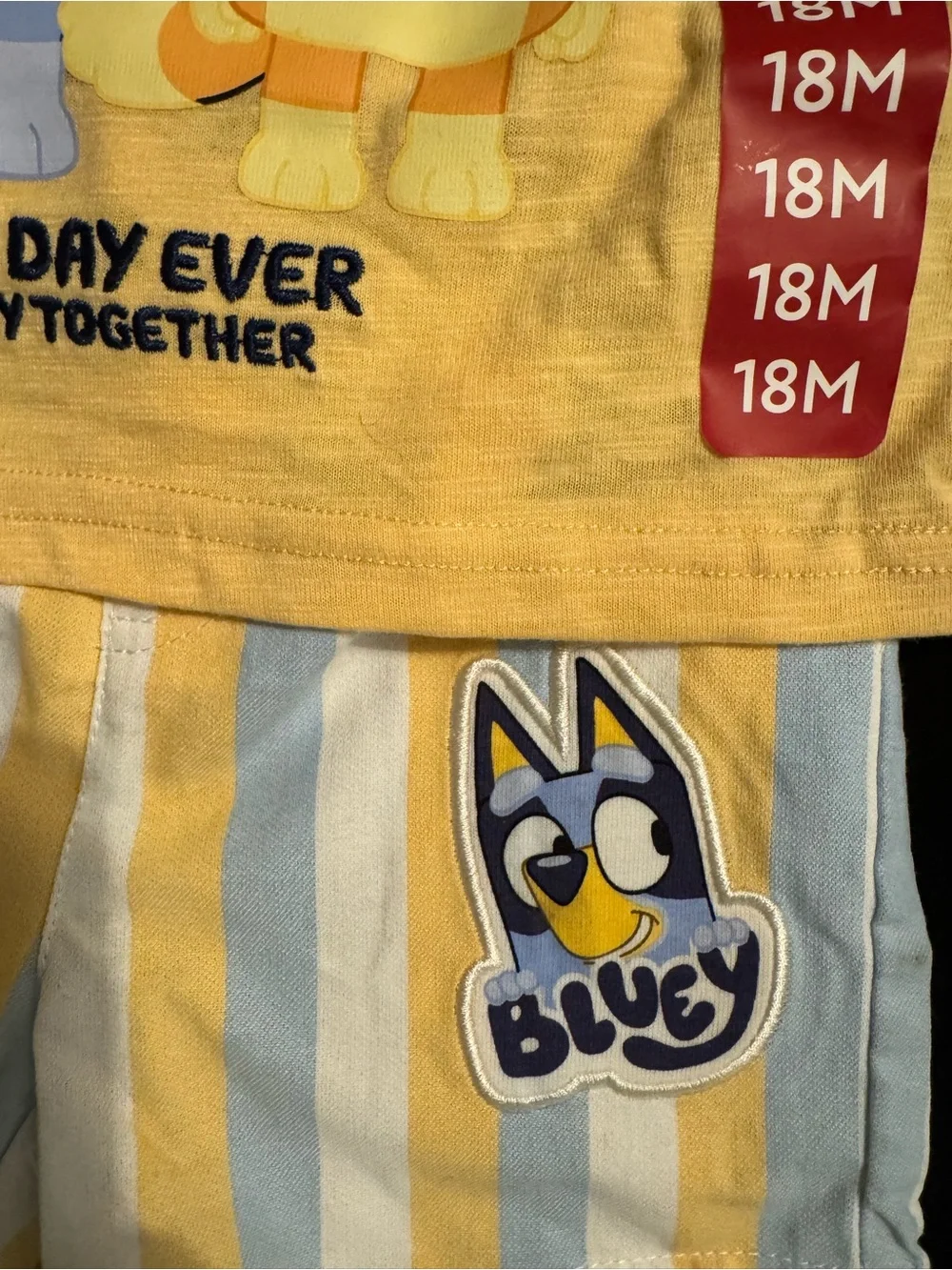 Bluey official short
